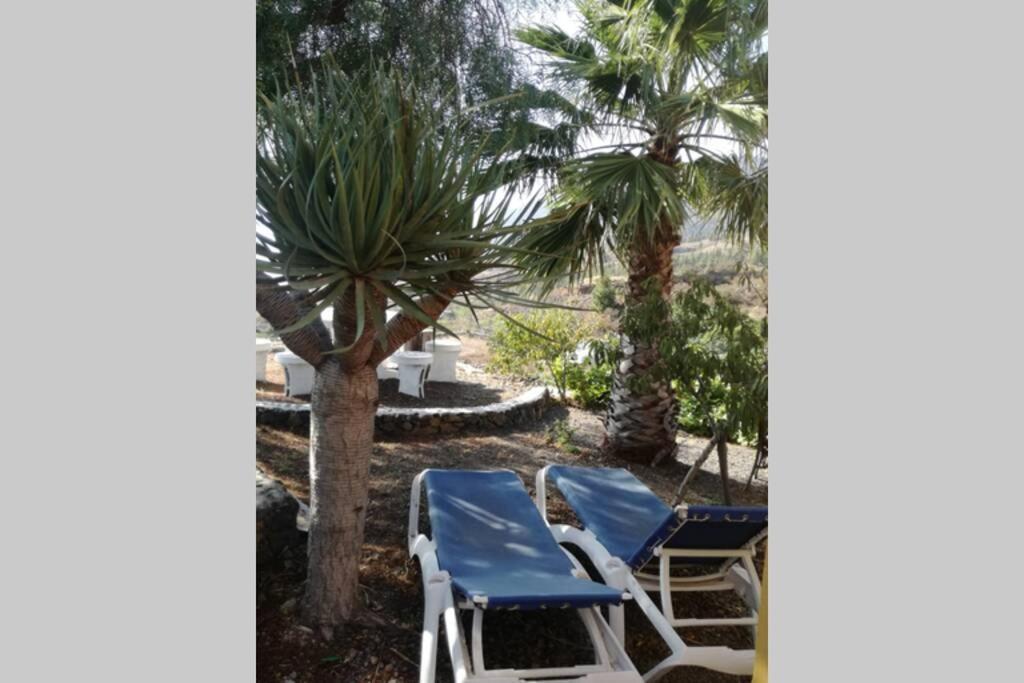 Casa Las Laderitas B エル・パソ エクステリア 写真